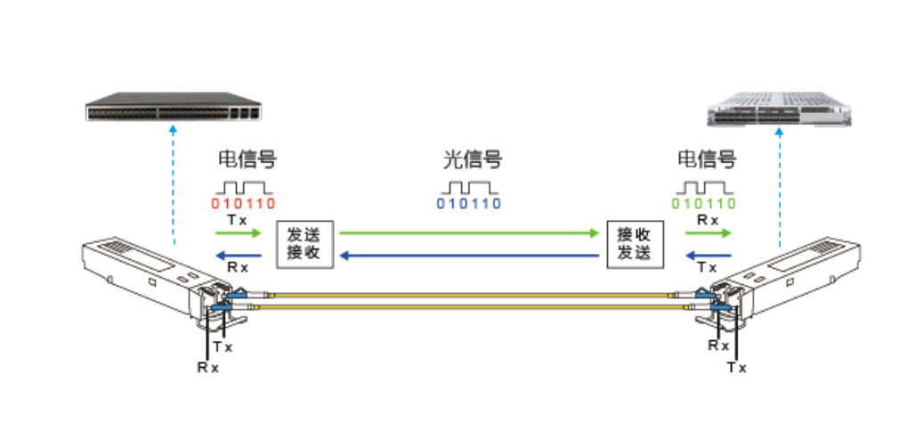 【科普】光？榈闹饕钢制骷的特征与光？榉庾跋村料热